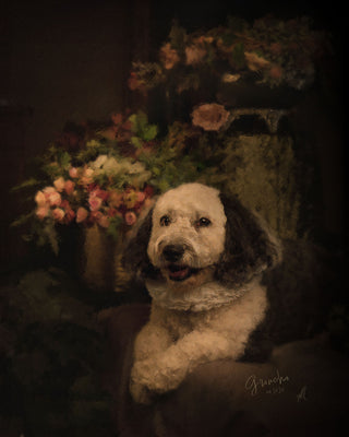 Dog portrait in style of European Classical Painting. Renaissance style photography